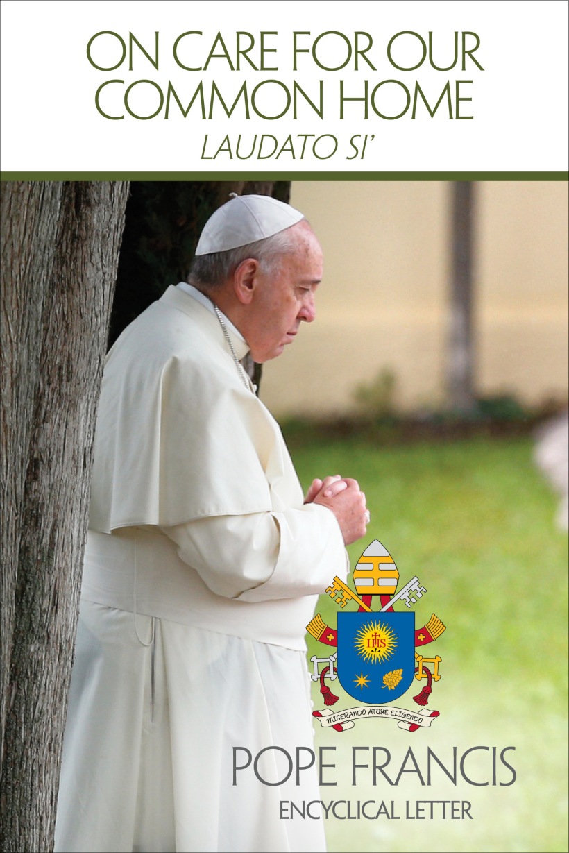 Cover of English edition of Pope Francis' encyclical on environment